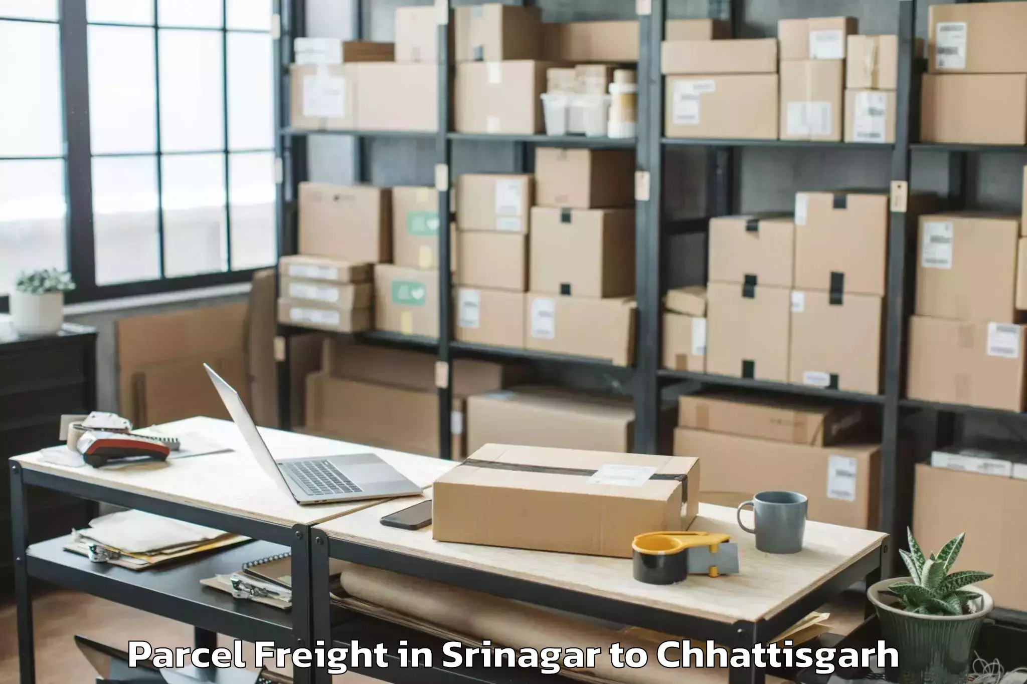 Book Your Srinagar to Ambagarh Parcel Freight Today